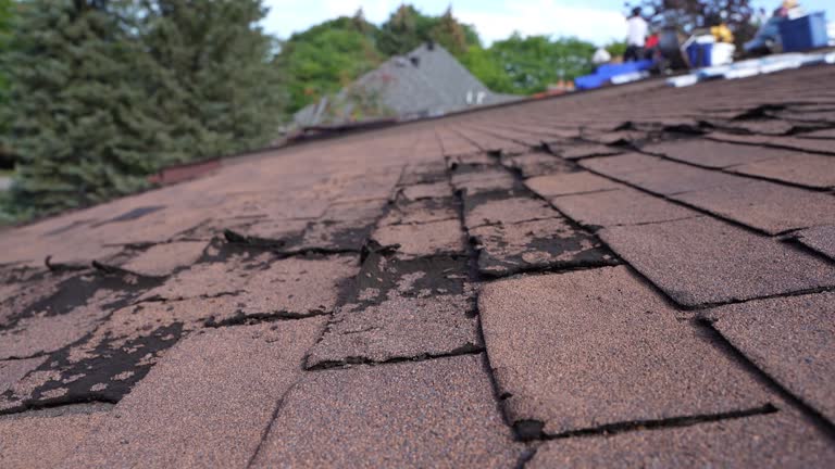 Best Roof Waterproofing  in Danville, PA