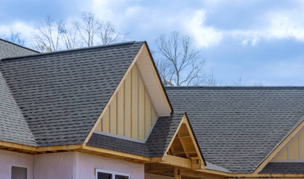 Best Sheet Metal Roofing  in Danville, PA